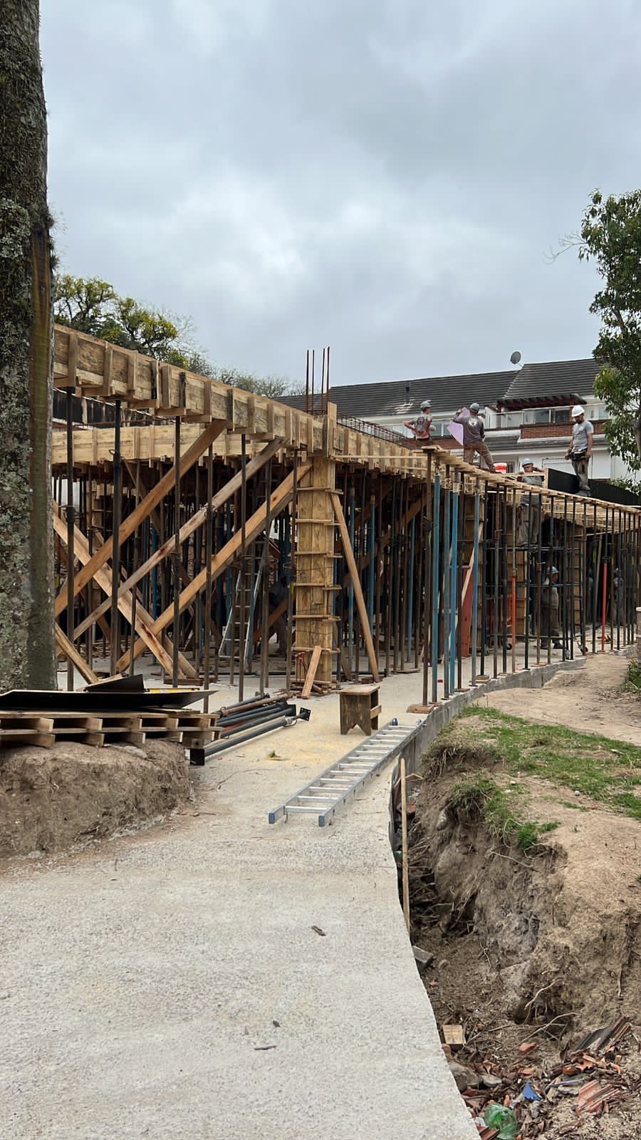 WhatsApp Image 2023-03-10 at 22.16.17